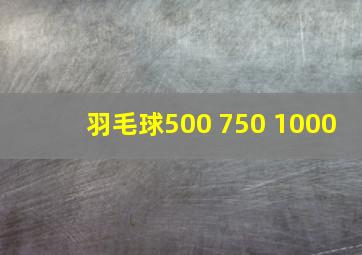 羽毛球500 750 1000